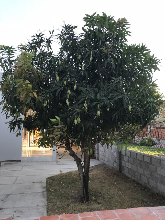Sea Renity Mui Ne Homestay بهان ثيت المظهر الخارجي الصورة